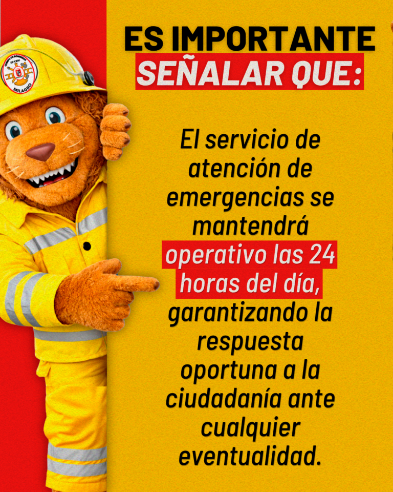 911Mesa-de-trabajo-1_04